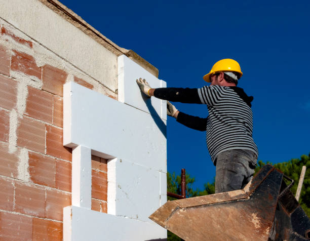 Best Eco-Friendly Insulation in Albany, WI